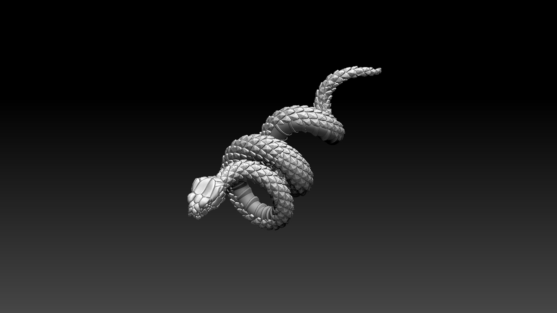 Snake