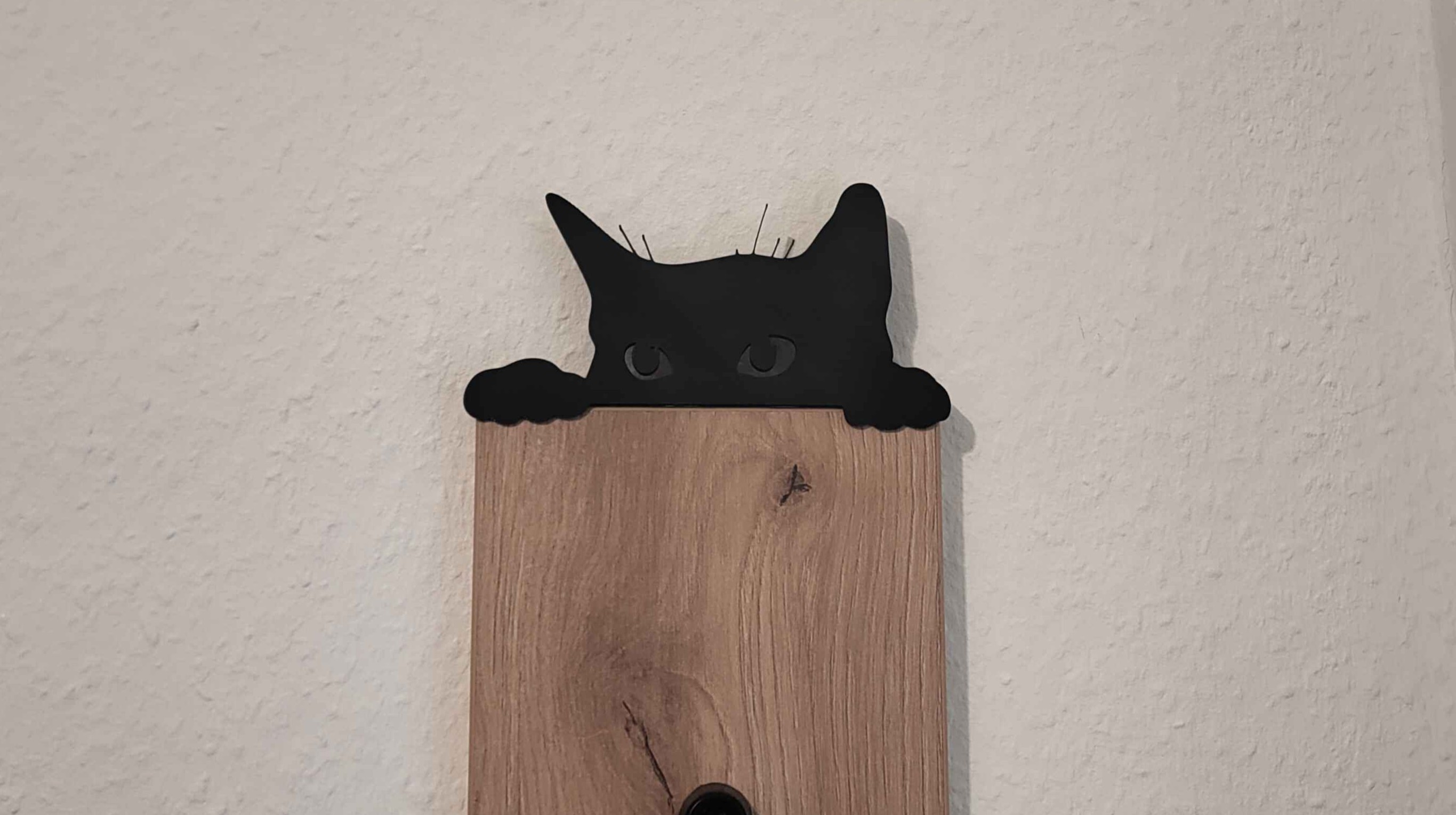 Lurking Cat