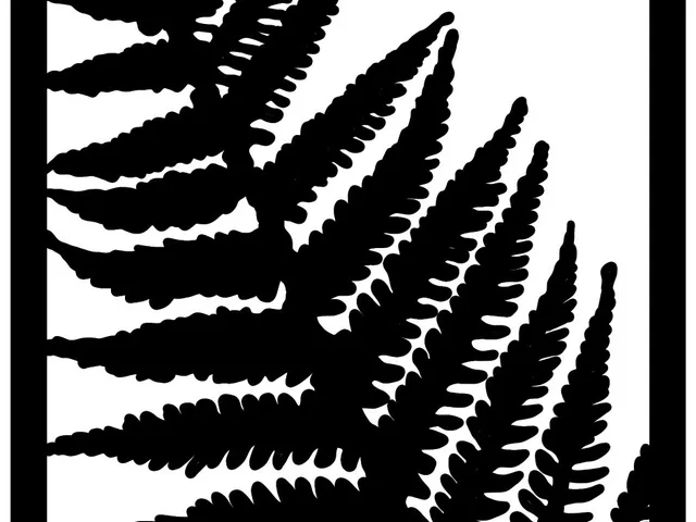 Fern