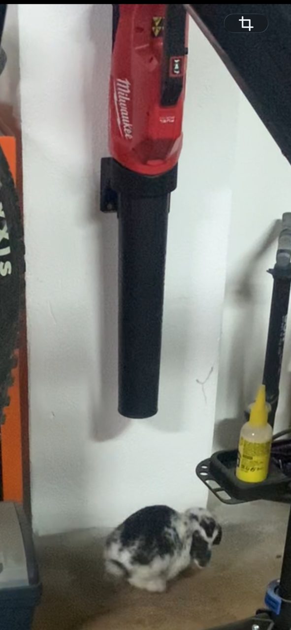 Milwaukee M18 leaf blower mount