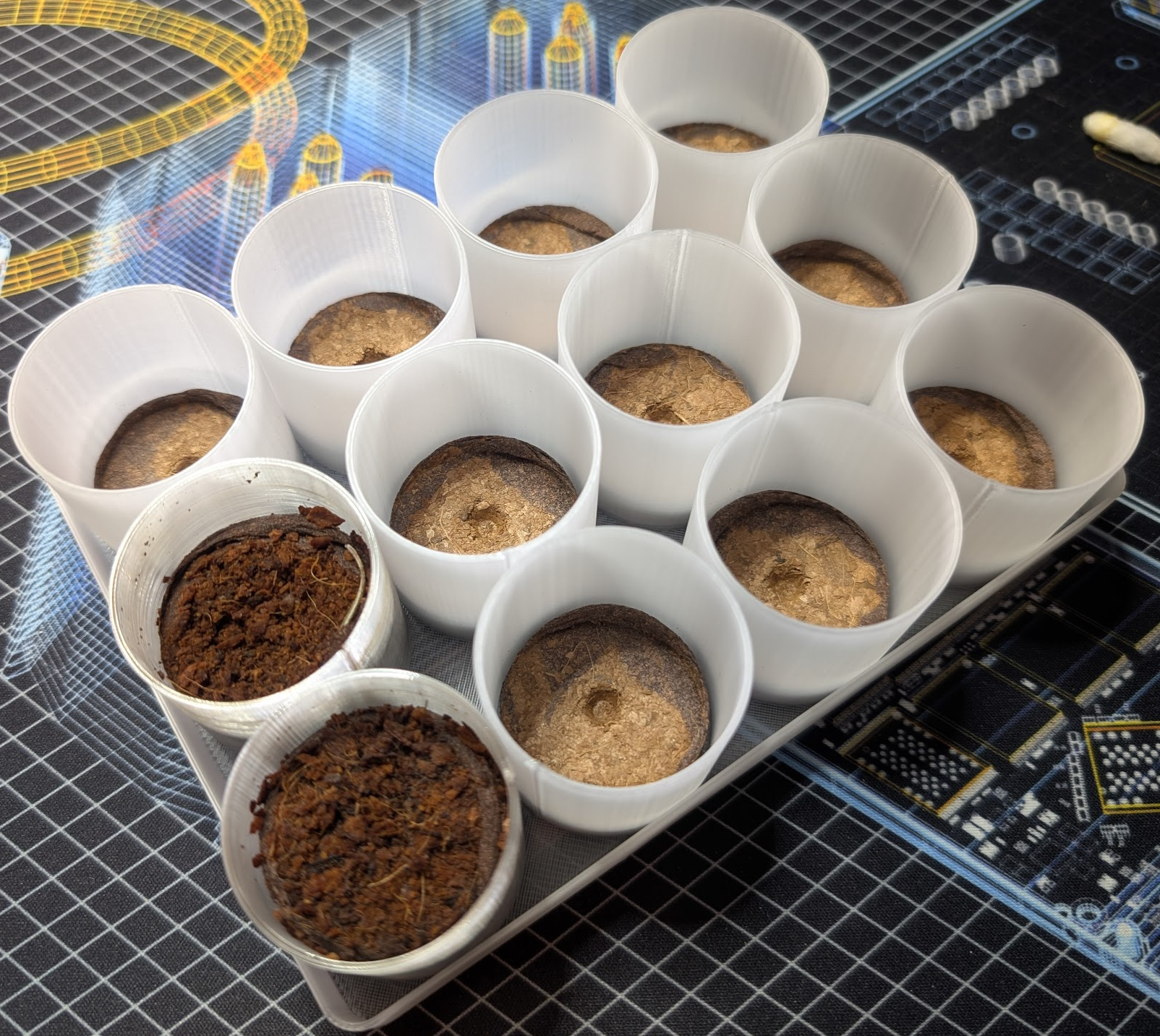 Seedling starter cups and tray
