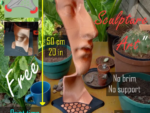 Face Sculpture Art