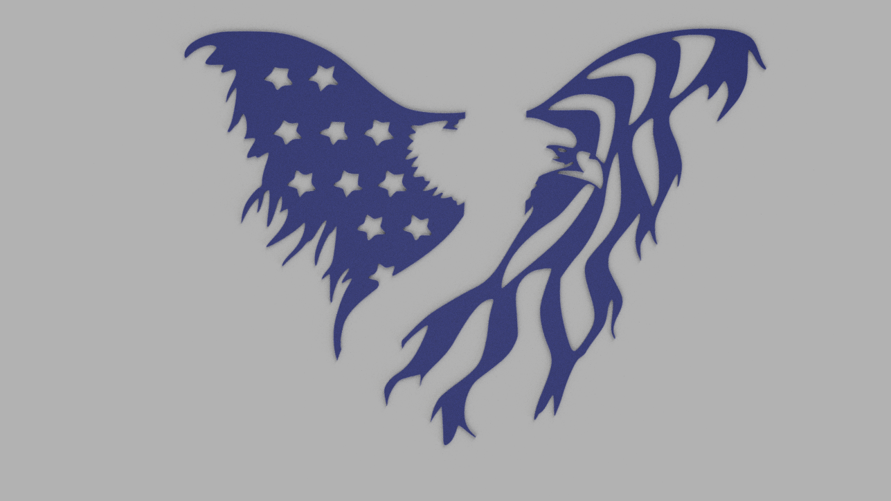 American Flag Eagle - Separated