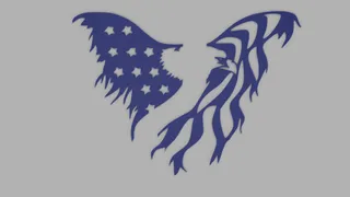 American Flag Eagle - Separated
