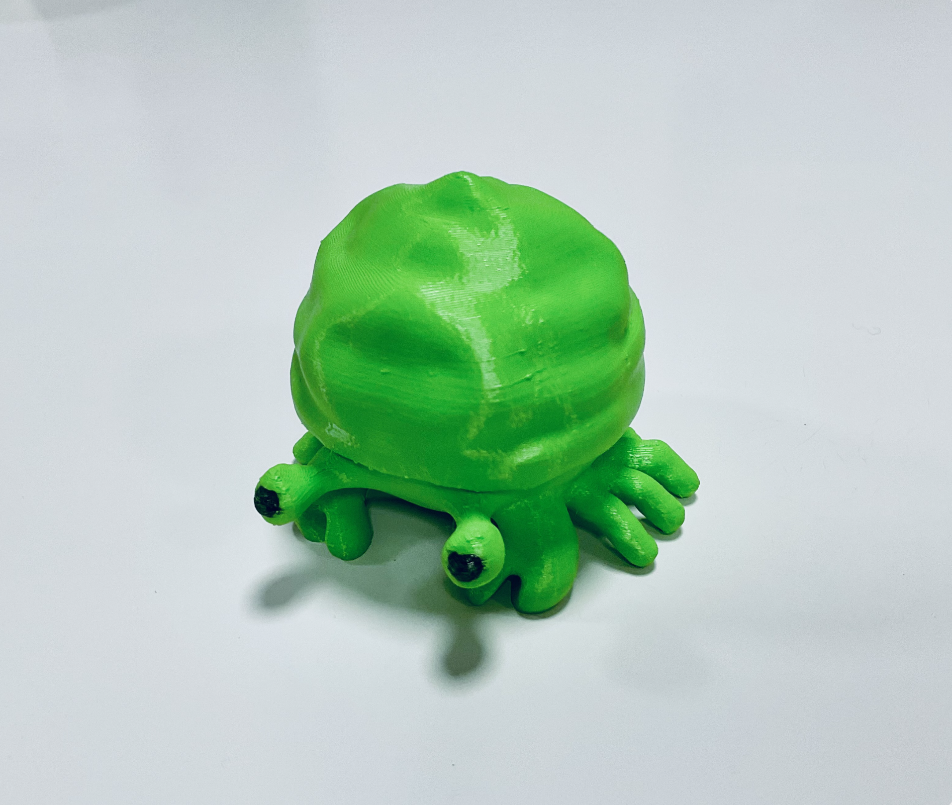 Hermit Crab