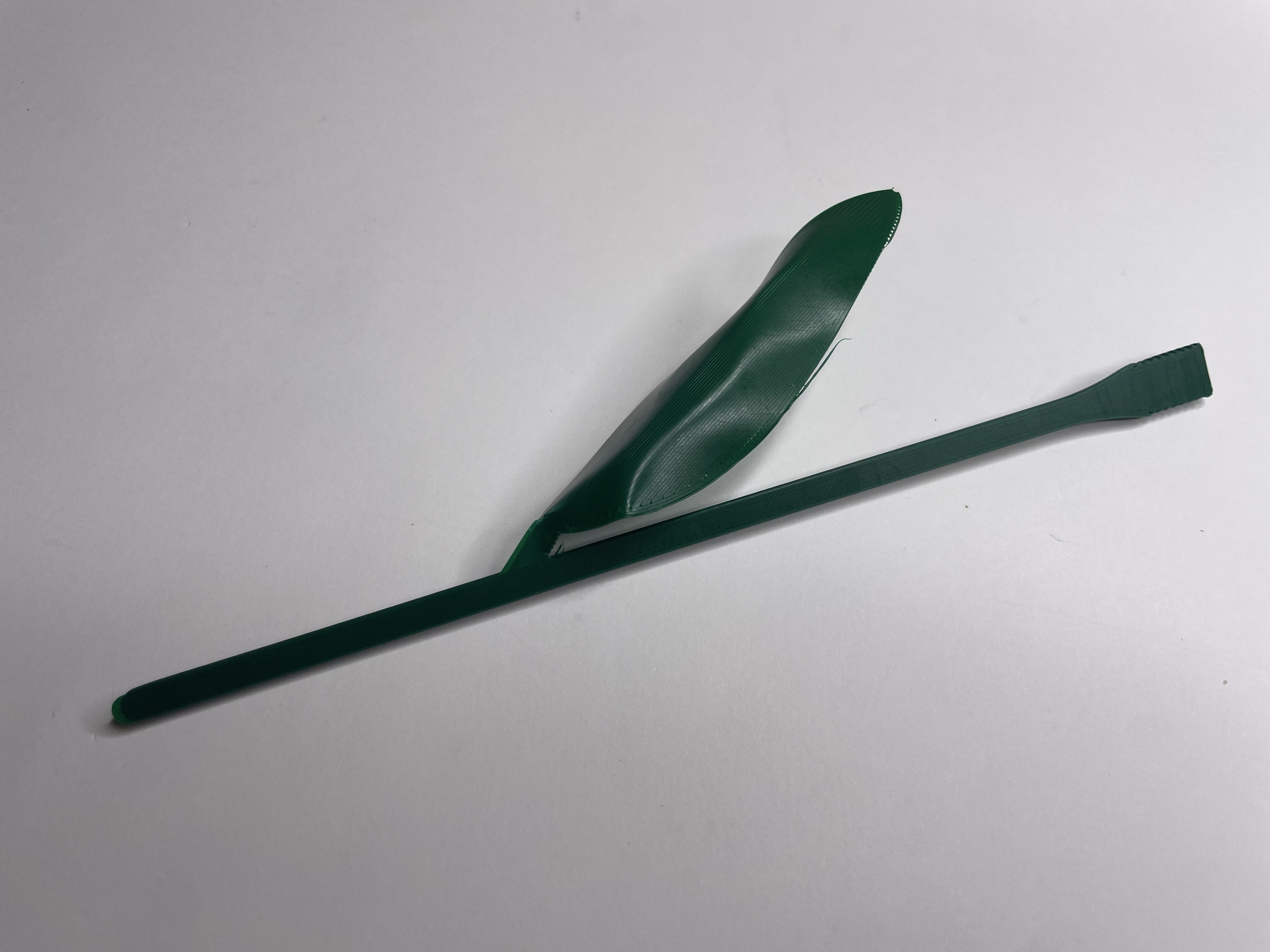 Tulip — thumbnail 19