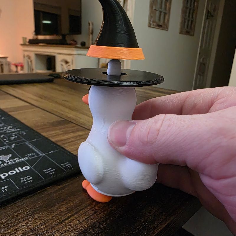 Peekaboo Witch Duck by Tyler Ray | Download free STL model | Printables.com
