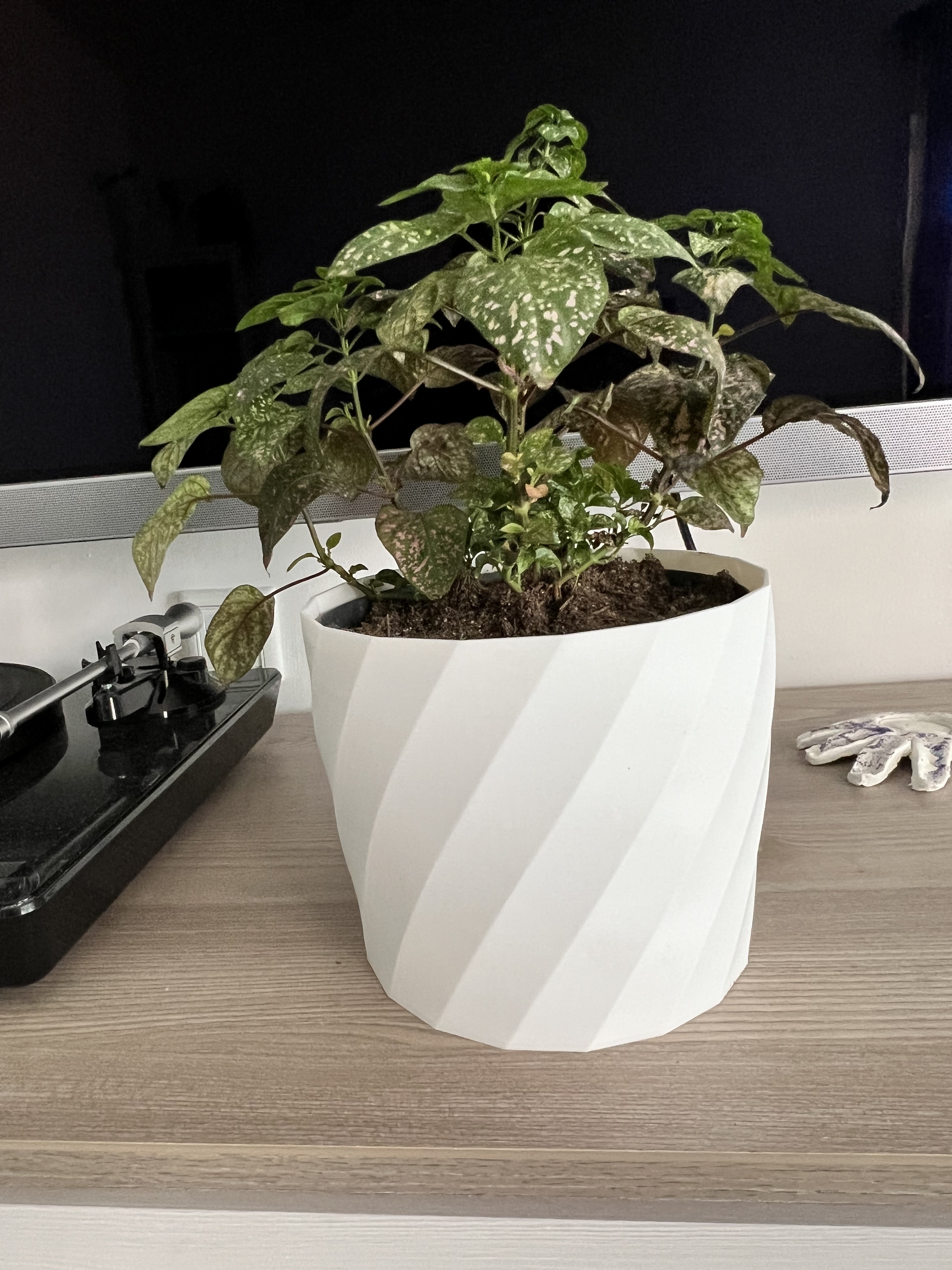 Flower Pot