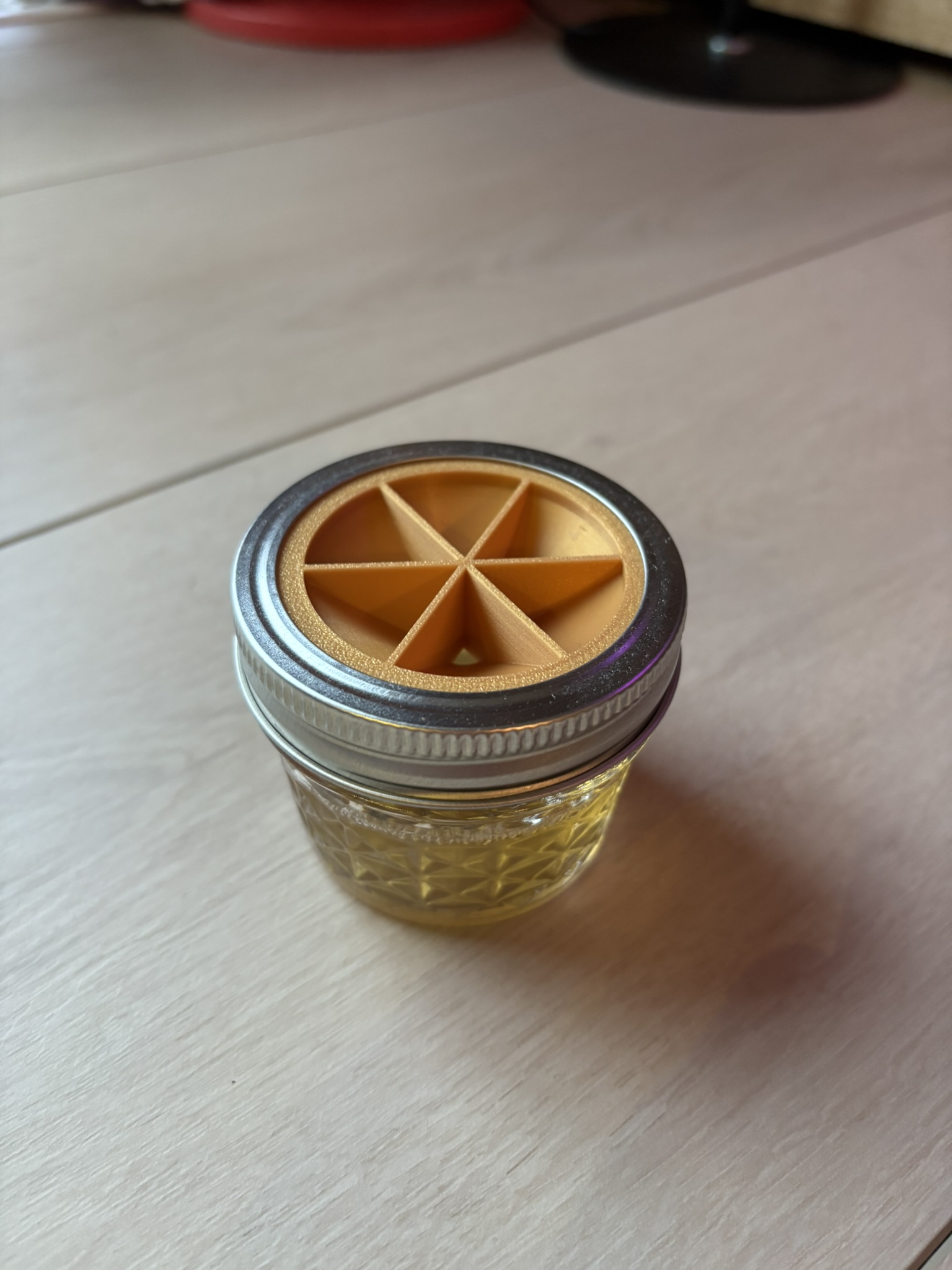 Fruit Fly Trap Mason Jar Lid