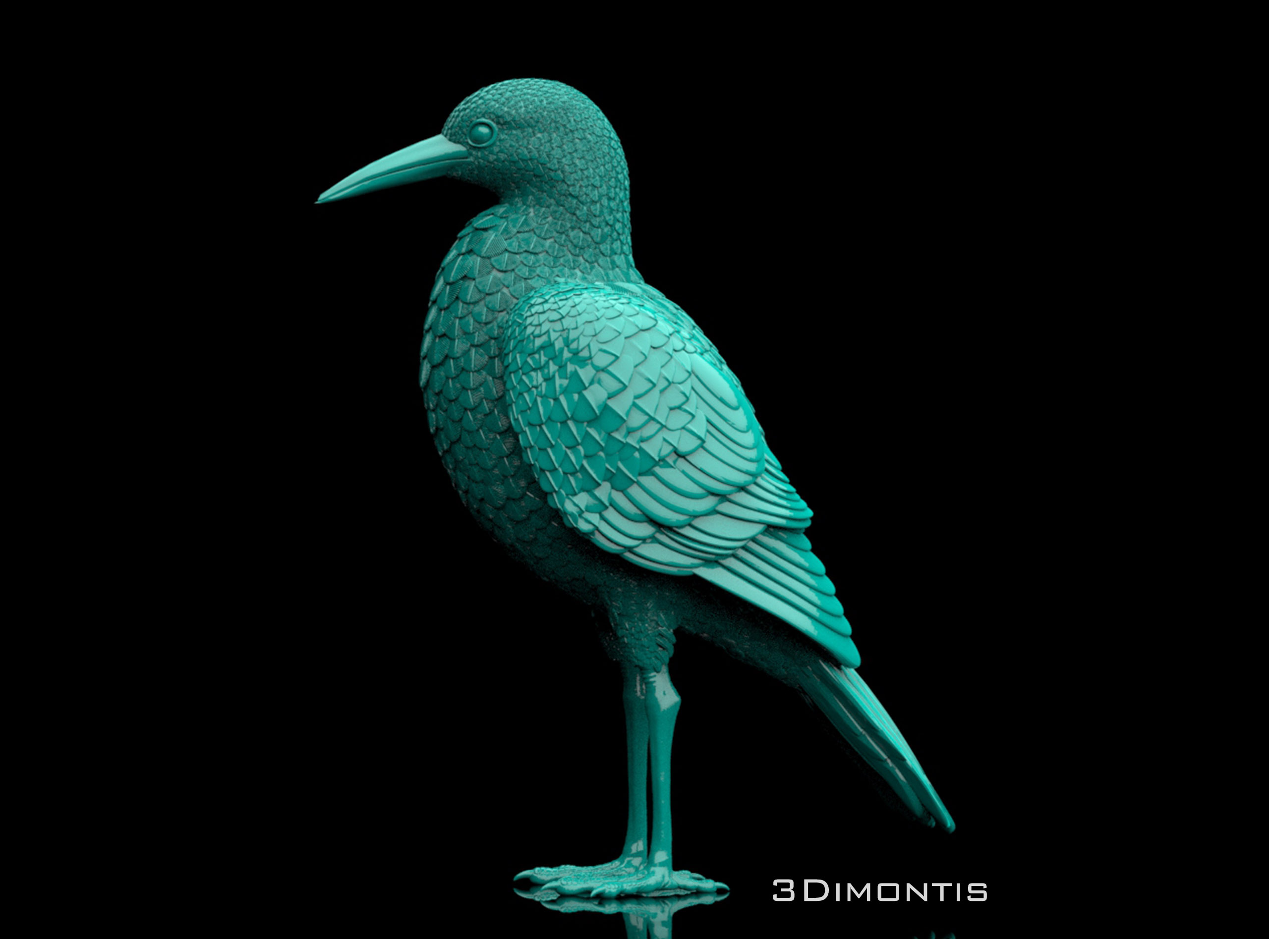 bird