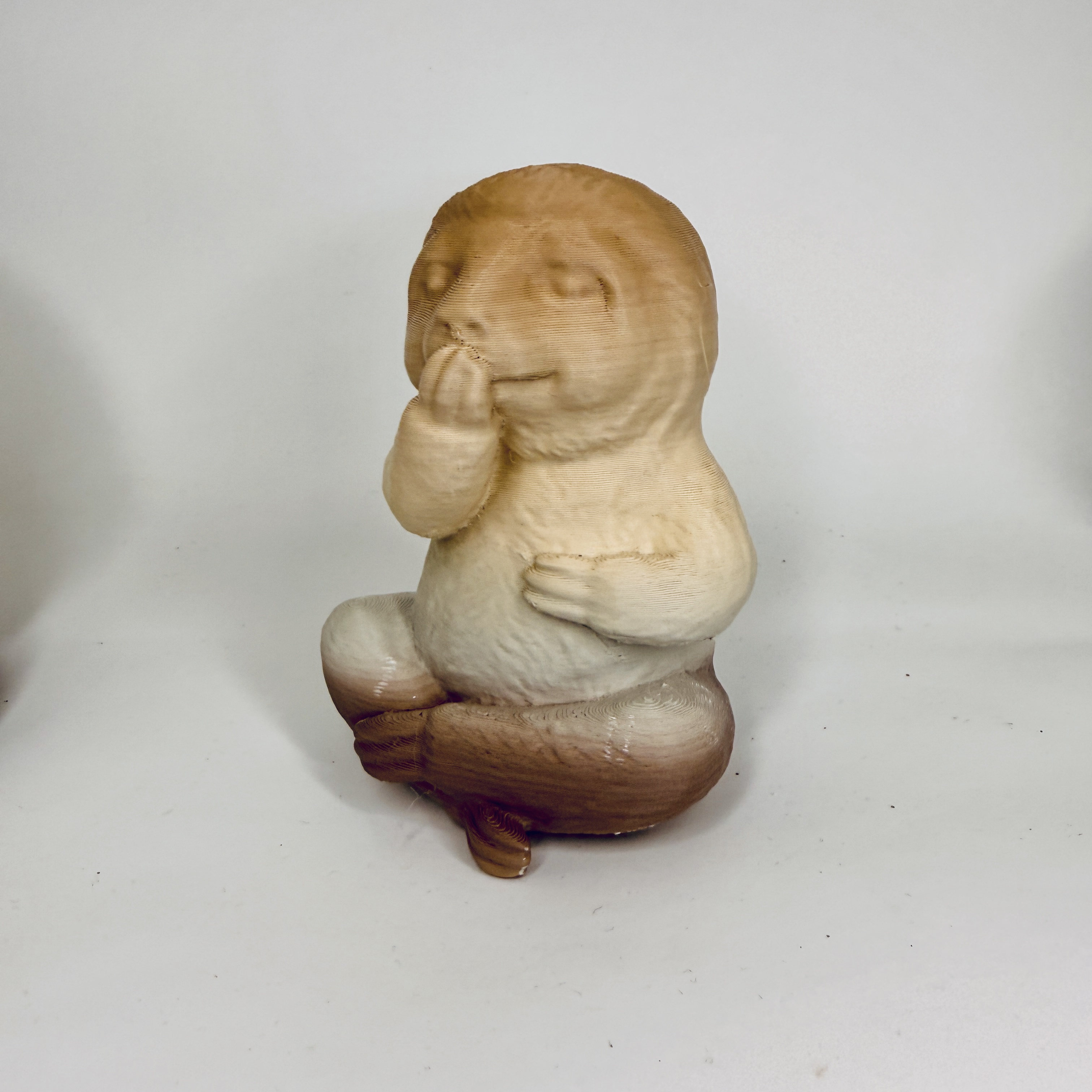 The wise Sloths — miniatura 2