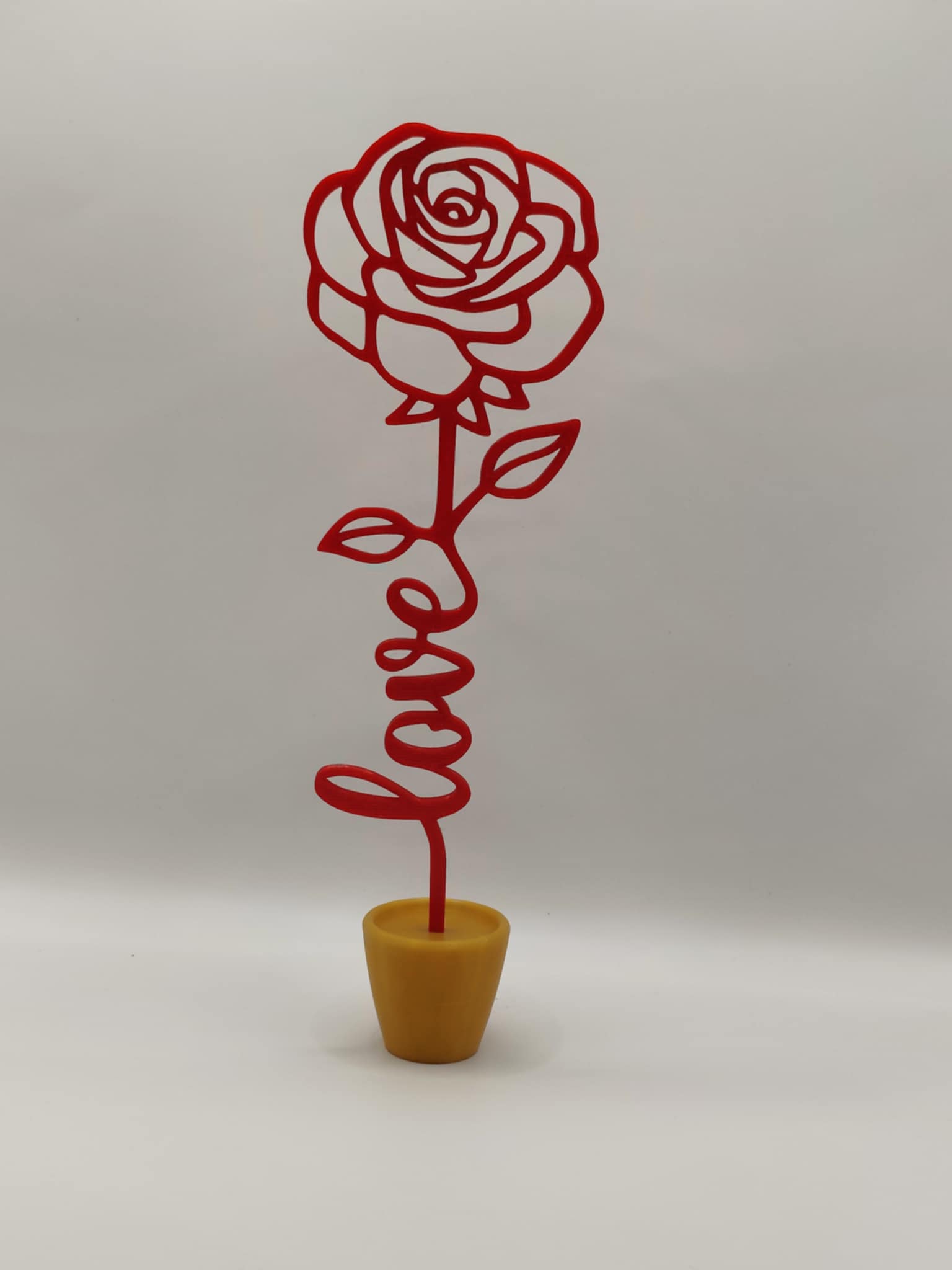 Valentine Rose + vase