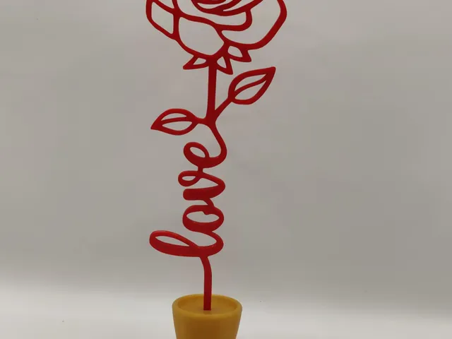 Valentine Rose + vase