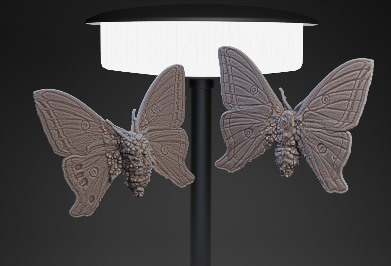 Moon Moth