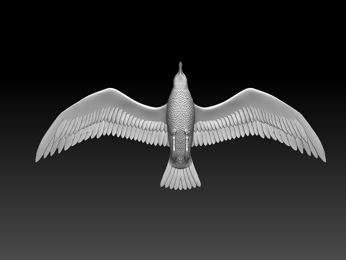 seagull — miniatura 7