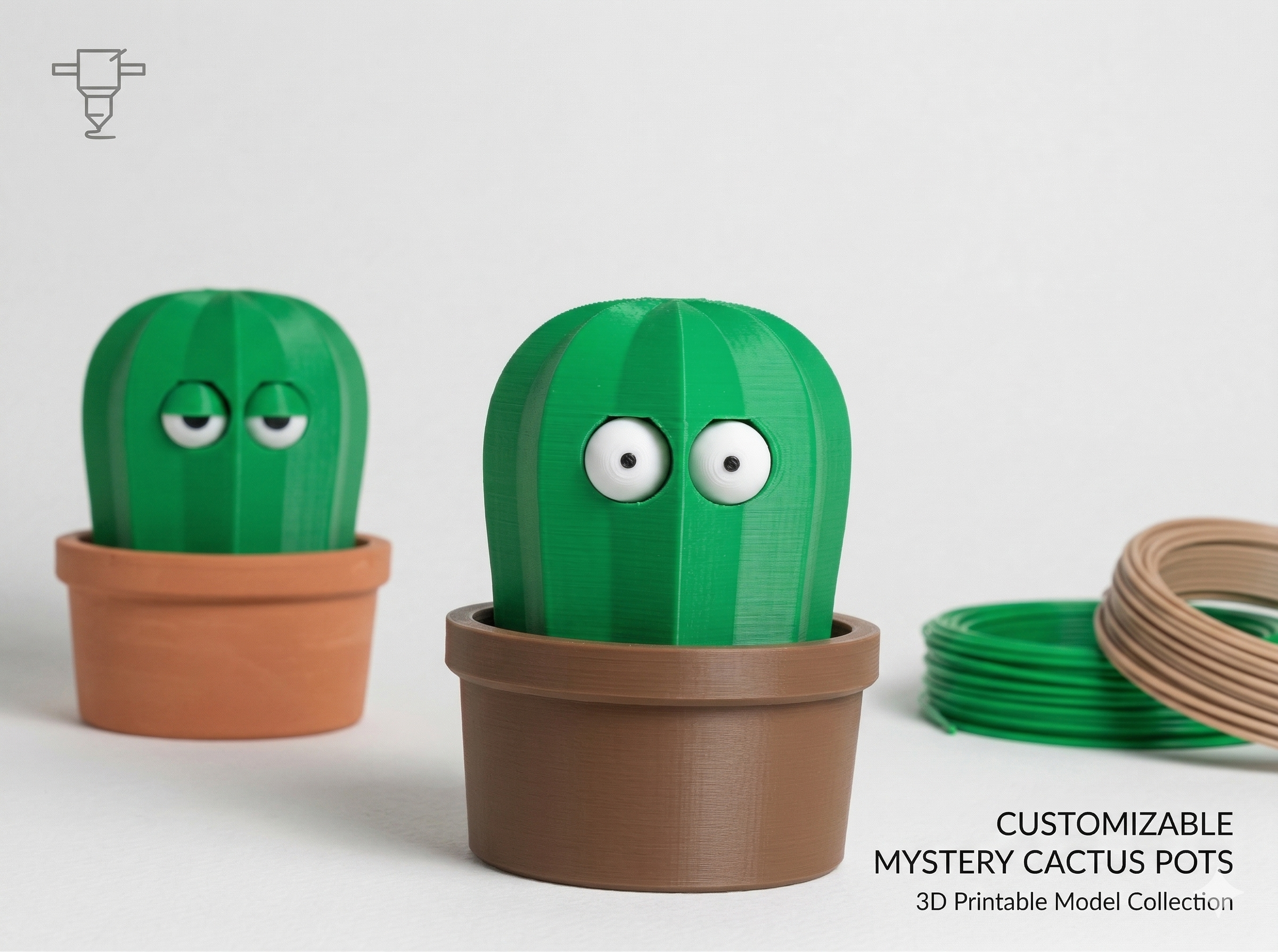 Pop Eyed Cactus