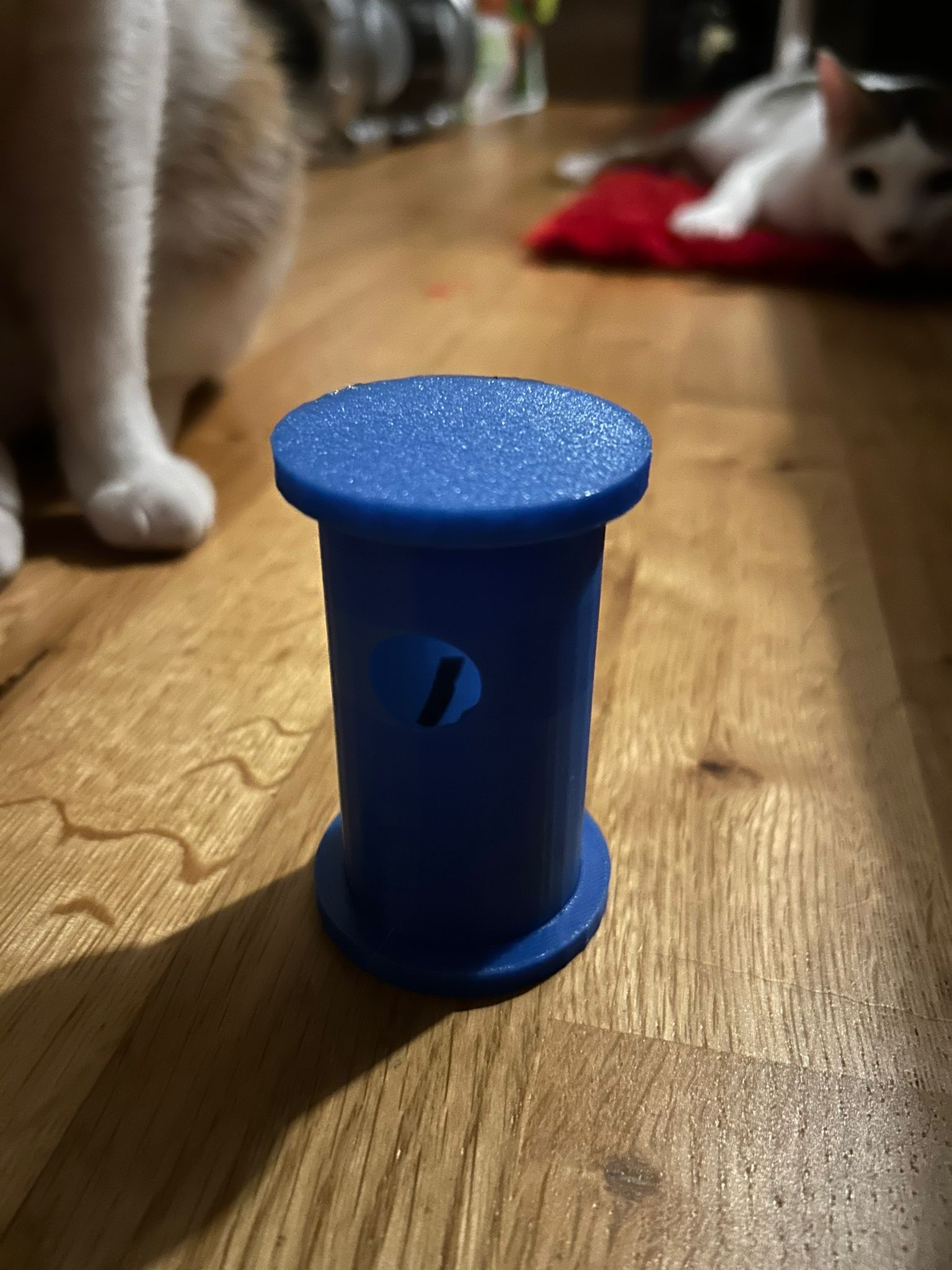 Katzenspielzeug für Körper & Geist
