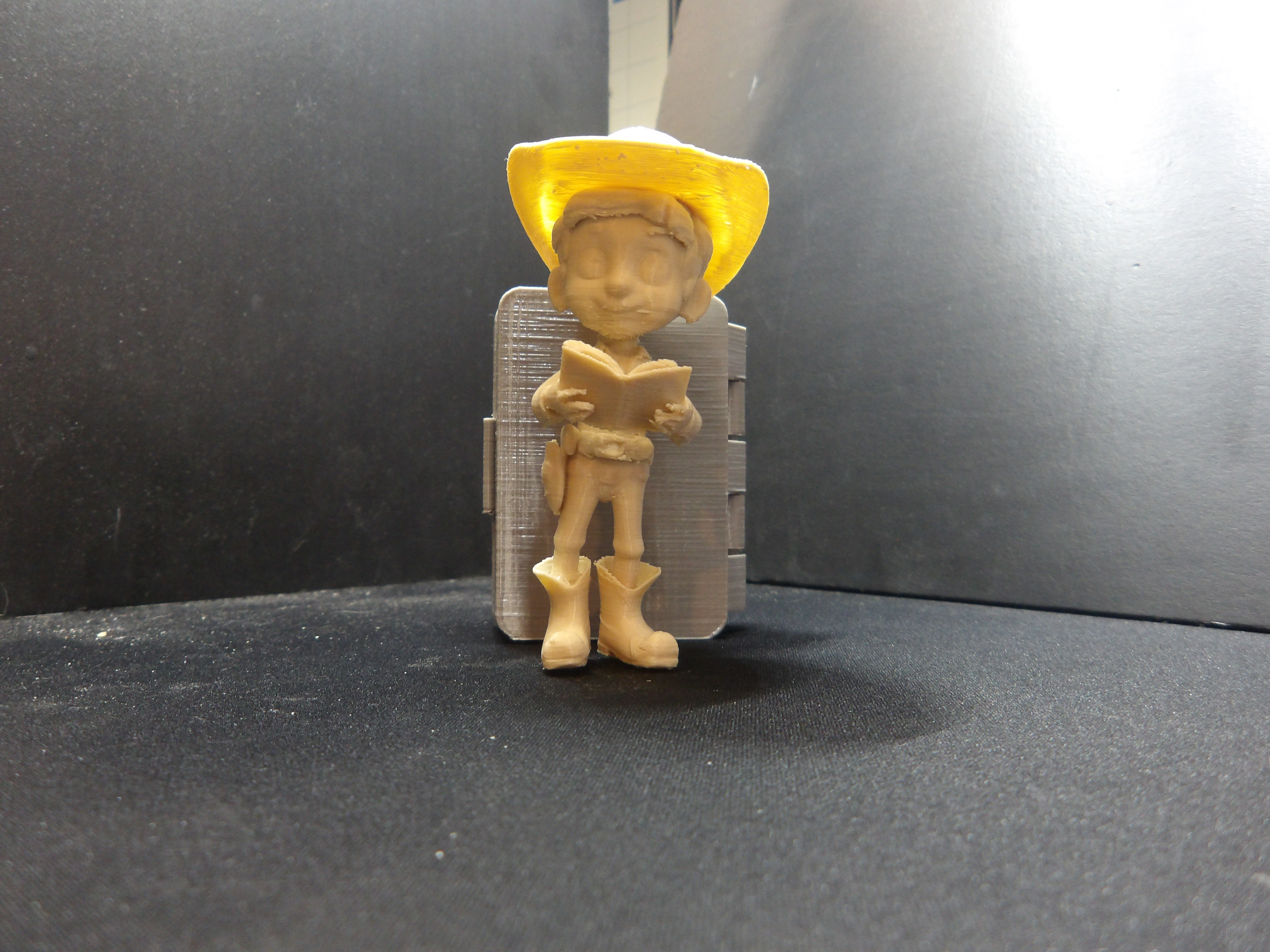 Cowboy reading a book.