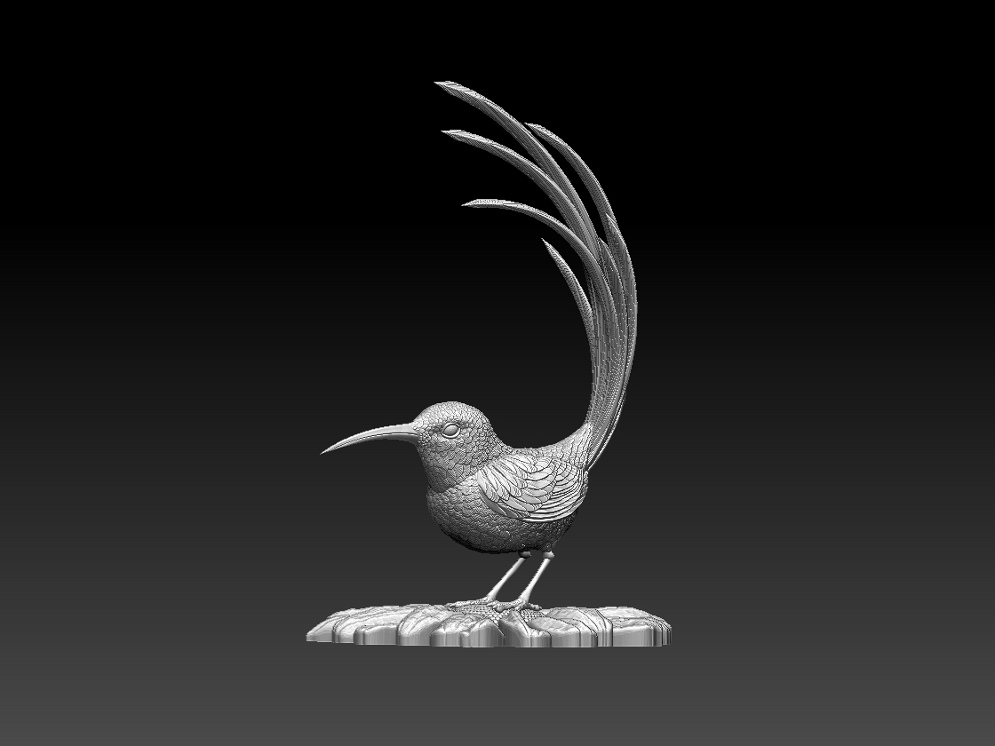 hummingbird — miniatura 5