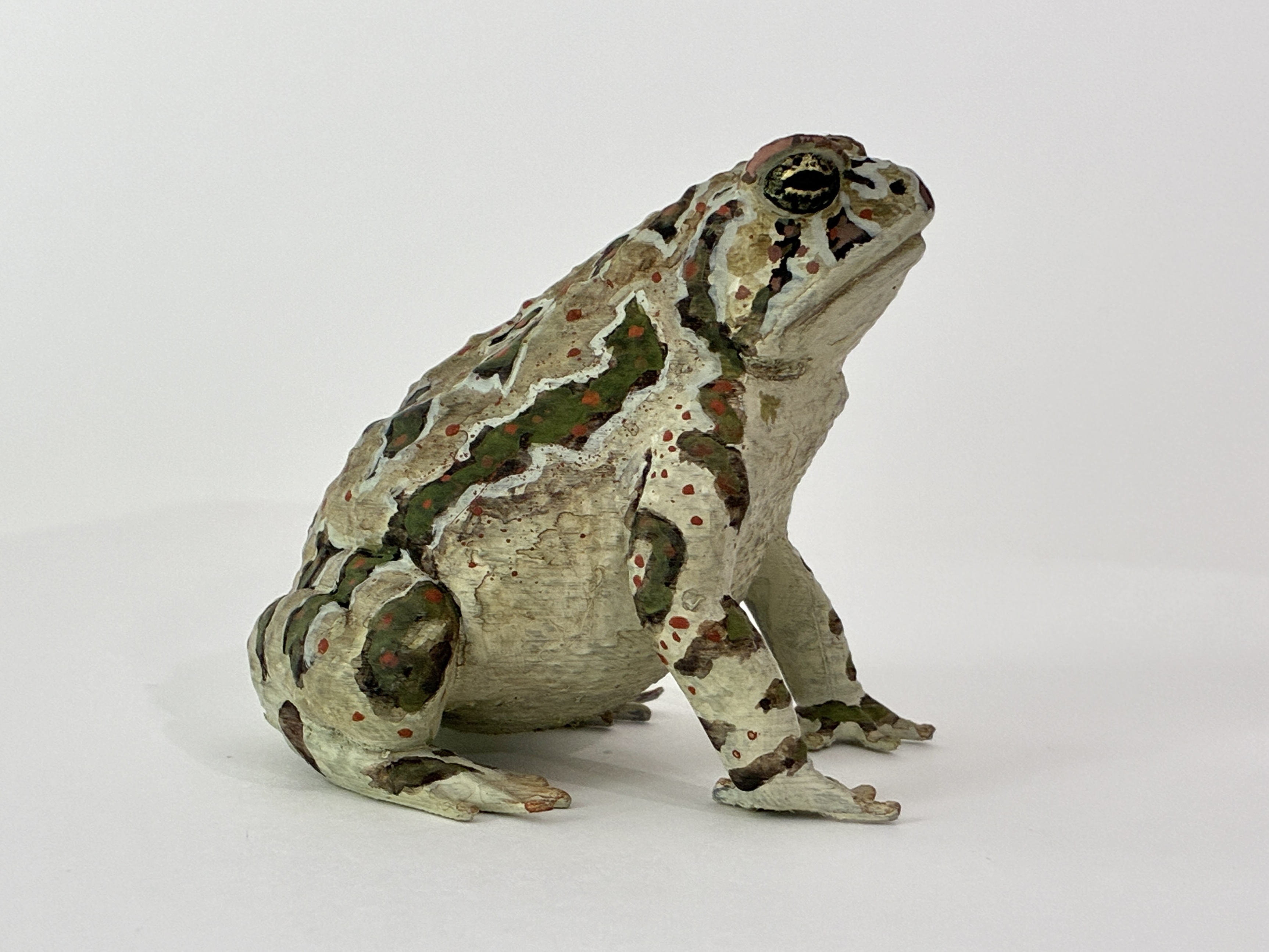 Miniatura 3 do modelo 3D Realistic Toad