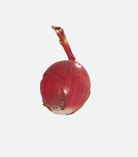 onion — miniatura 3