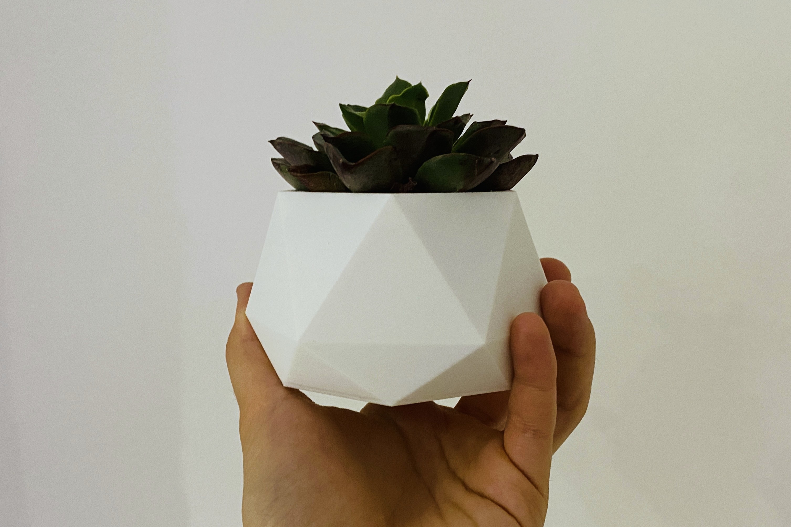 Hex planter