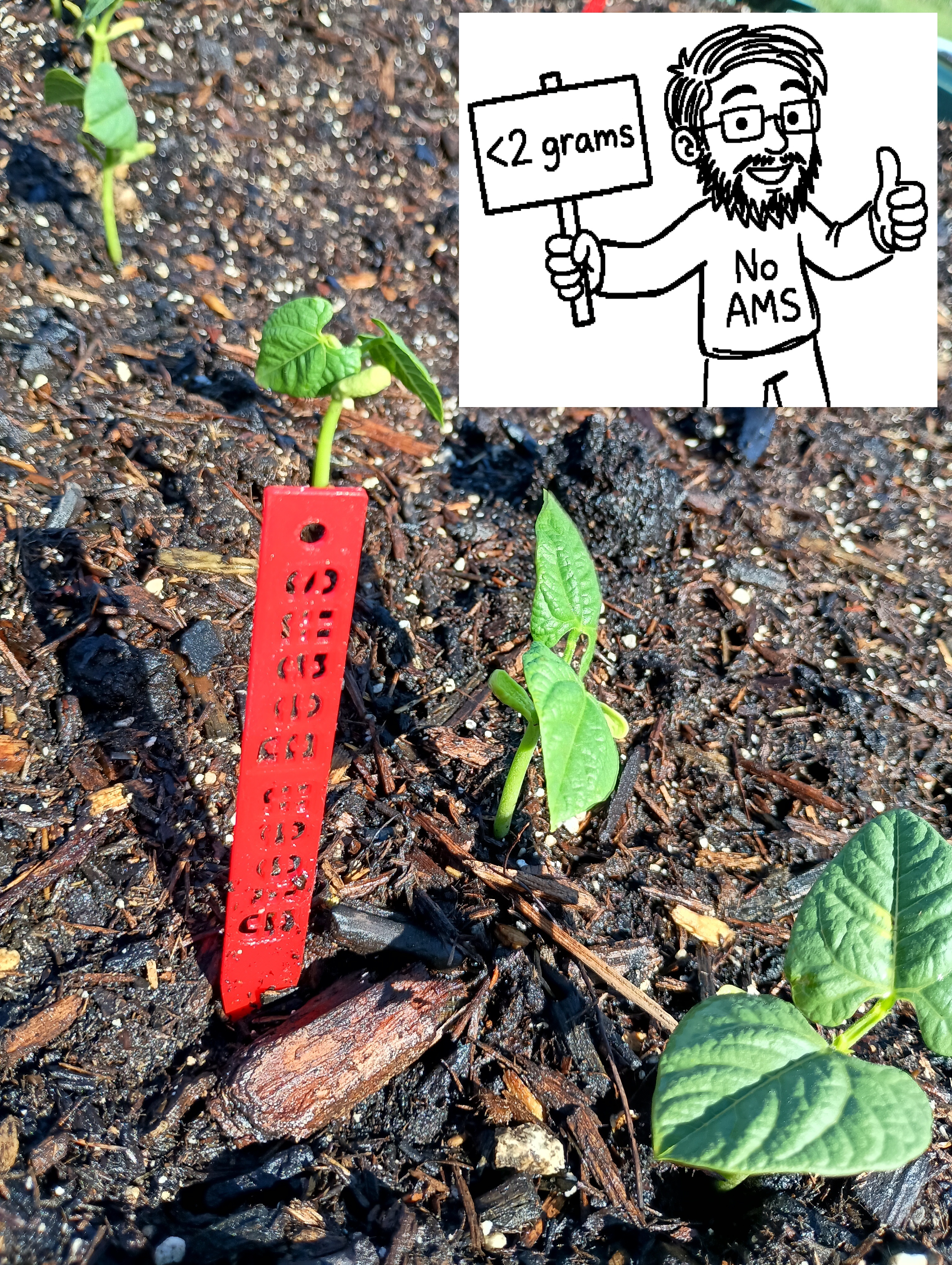 Parametric Garden Plant Label Stake Sign Generator - Lite Edition
