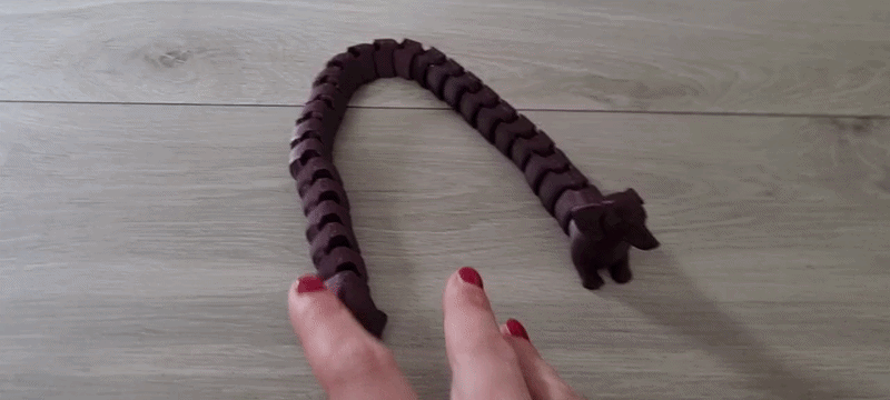 Articulated dachshund flexi 41 cm long