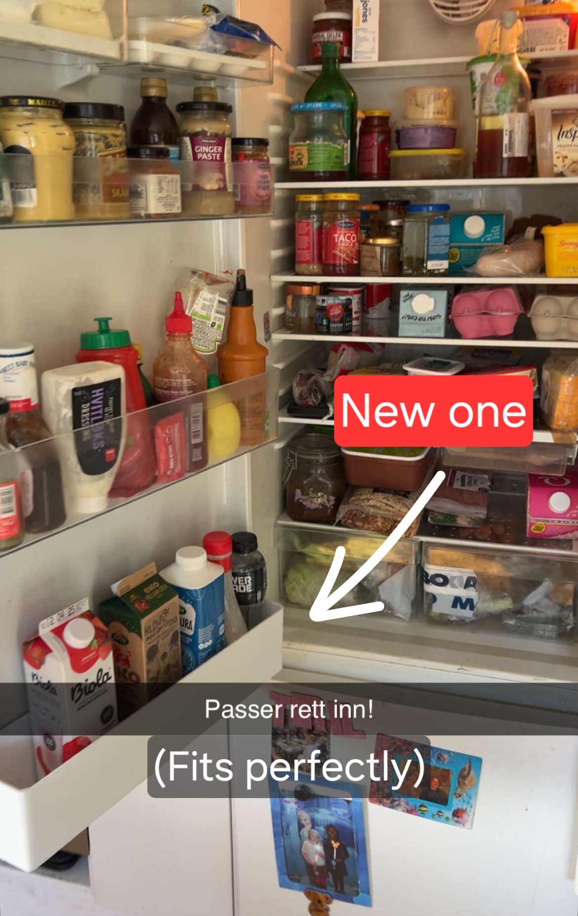 Siemens Fridge Shelf — miniatura 3
