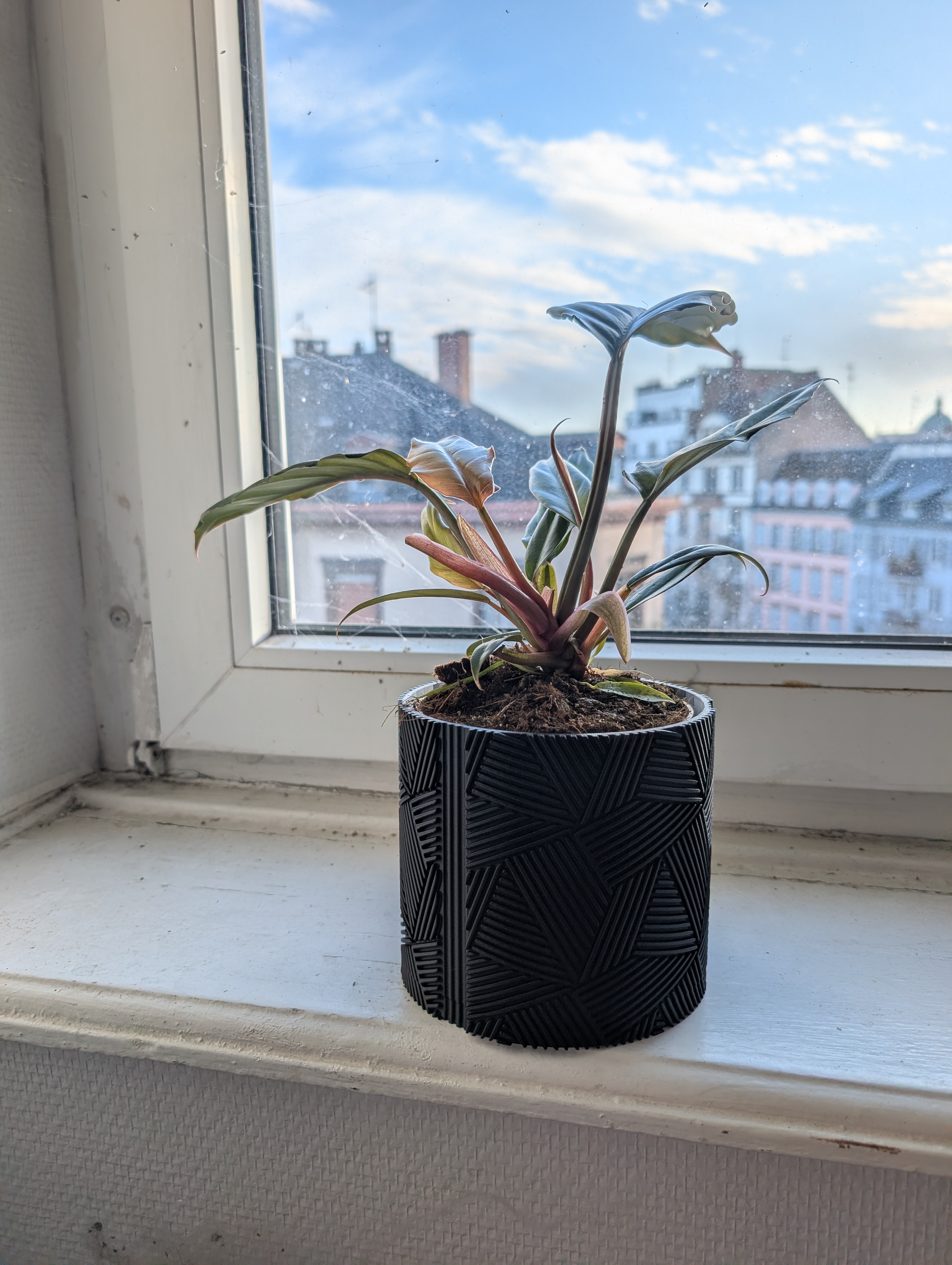 geometricplanter — miniatura 2
