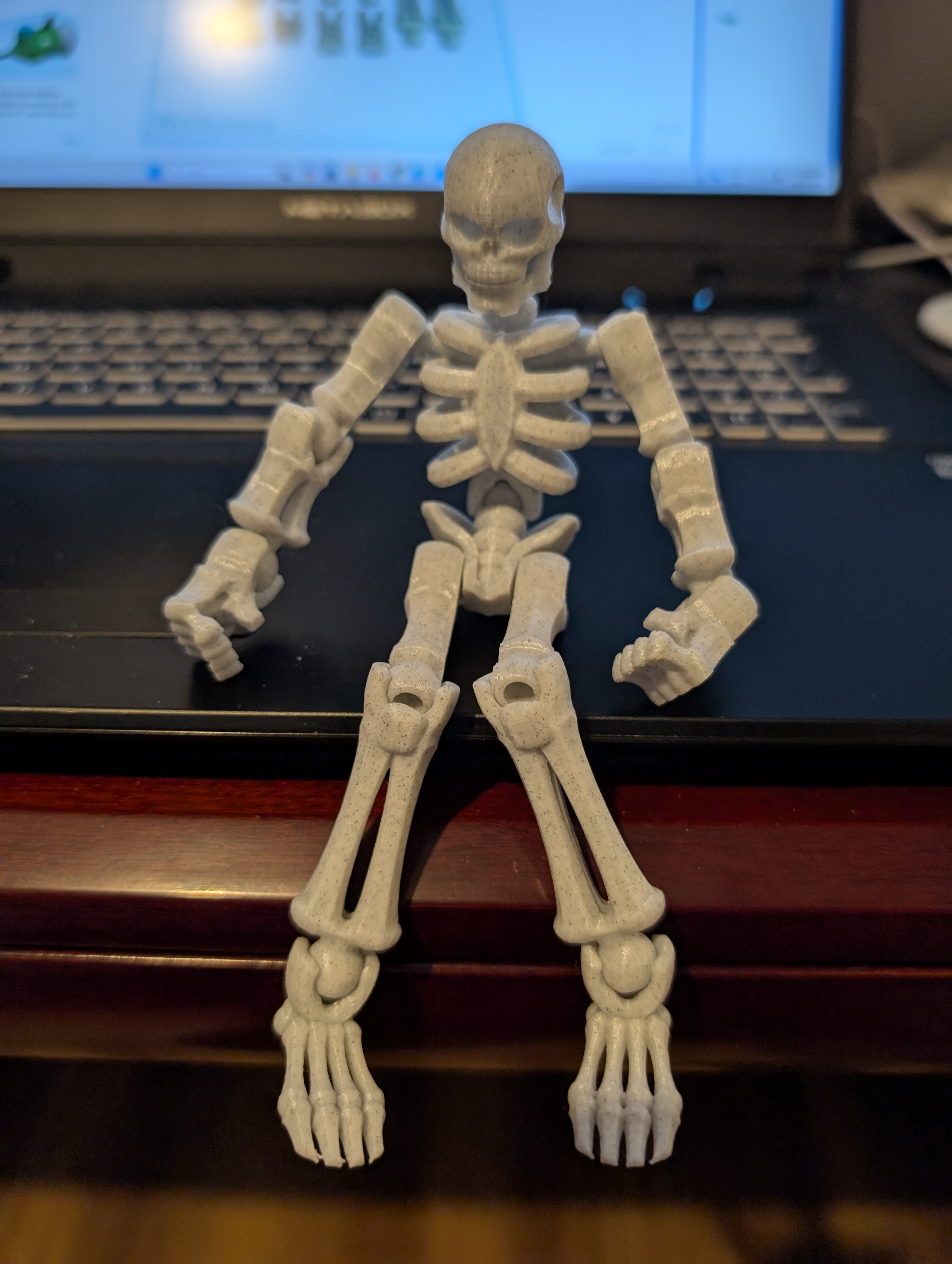 Articulated Skeleton