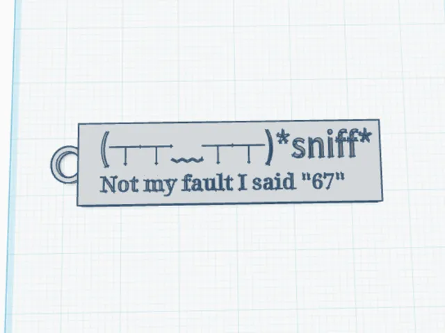 67 funny keychain