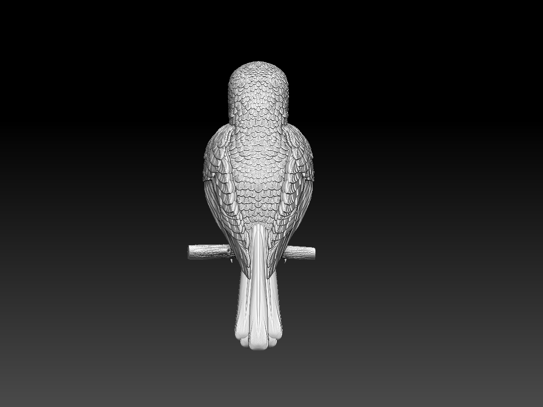 hummingbird — miniatura 8
