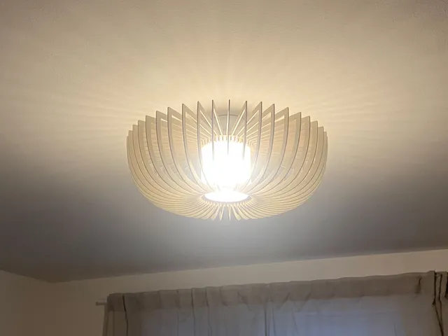 Lamp Ceiling Mount Adapter for Large Ceiling Openings (Farbflut compatible)