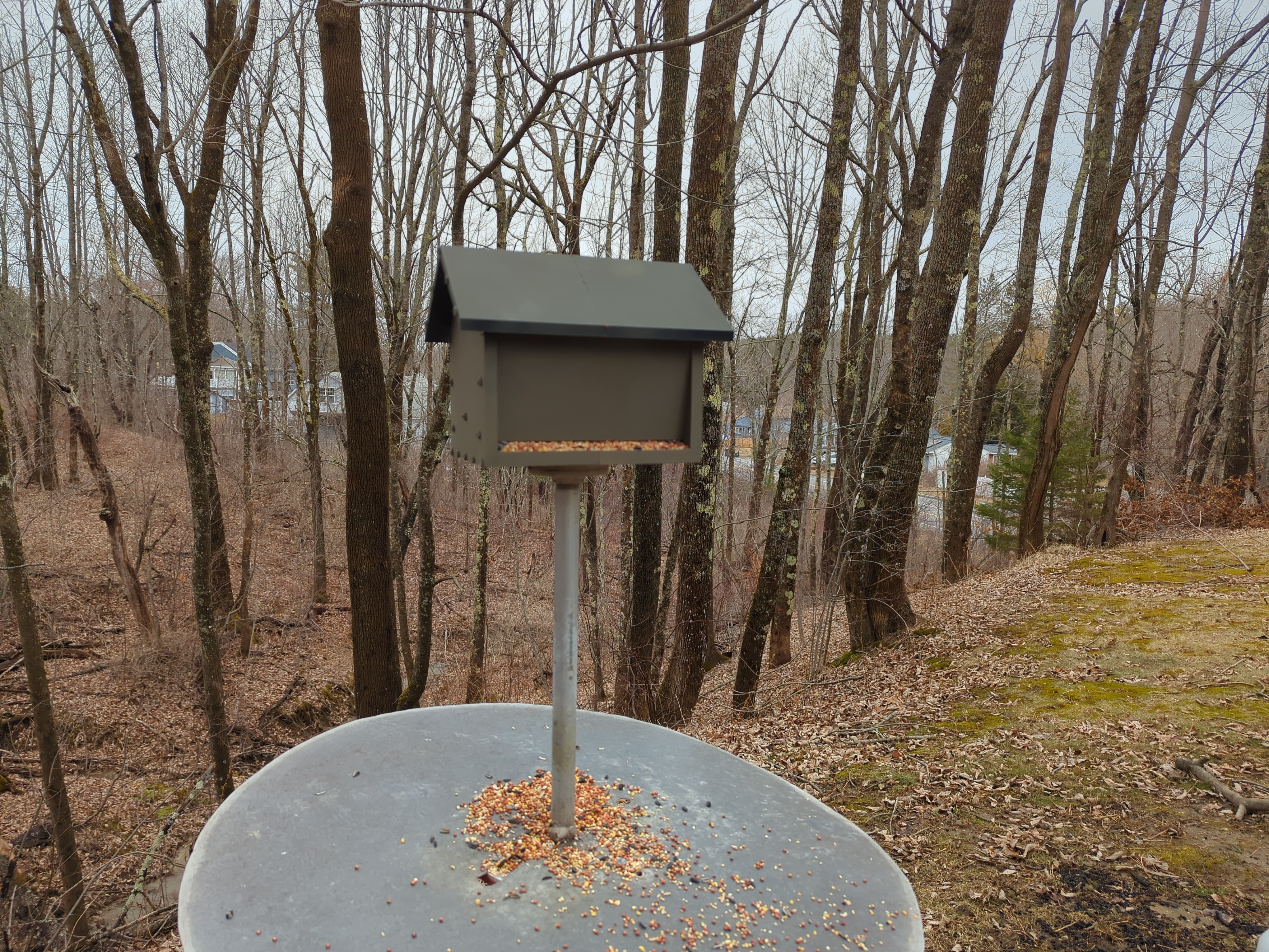 House shaped Bird Feeder