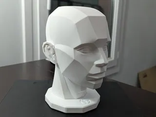 Faceted Head