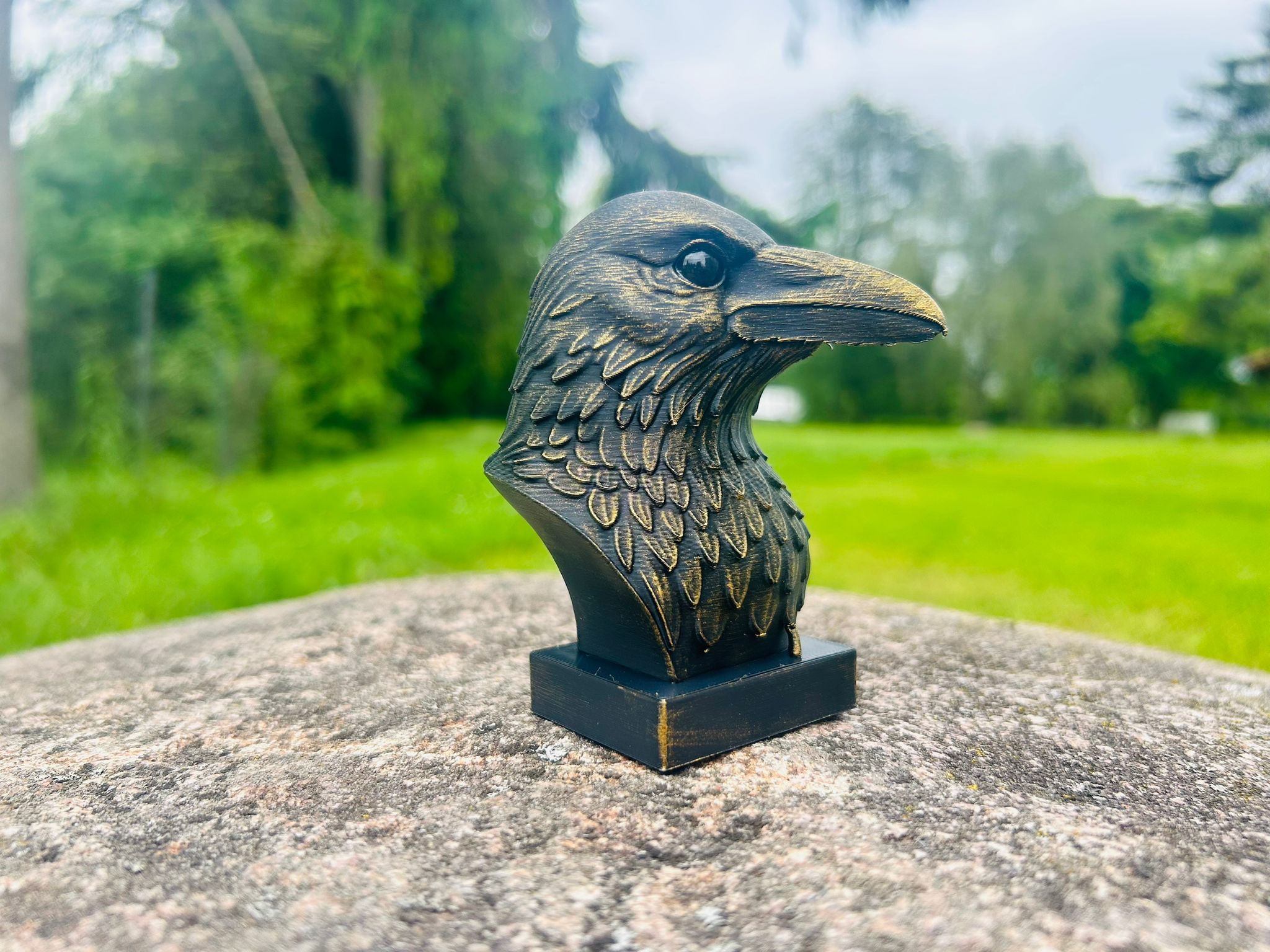 crow