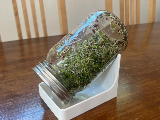Seed Sprouting Stand - Mason Jar (Quart)