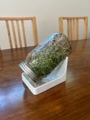 Seed Sprouting Stand - Mason Jar (Quart)