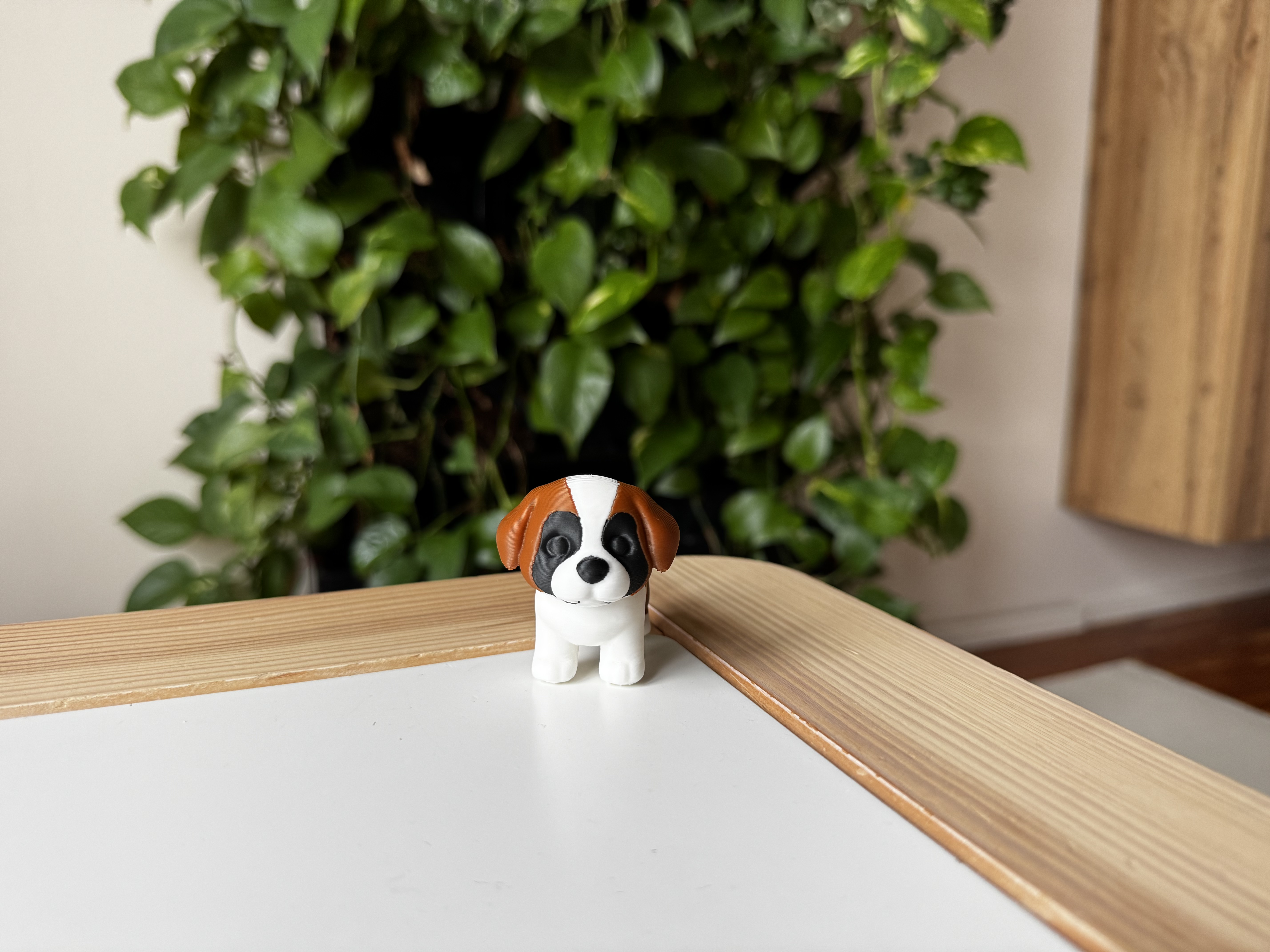 St. Bernards puppy — thumbnail 3