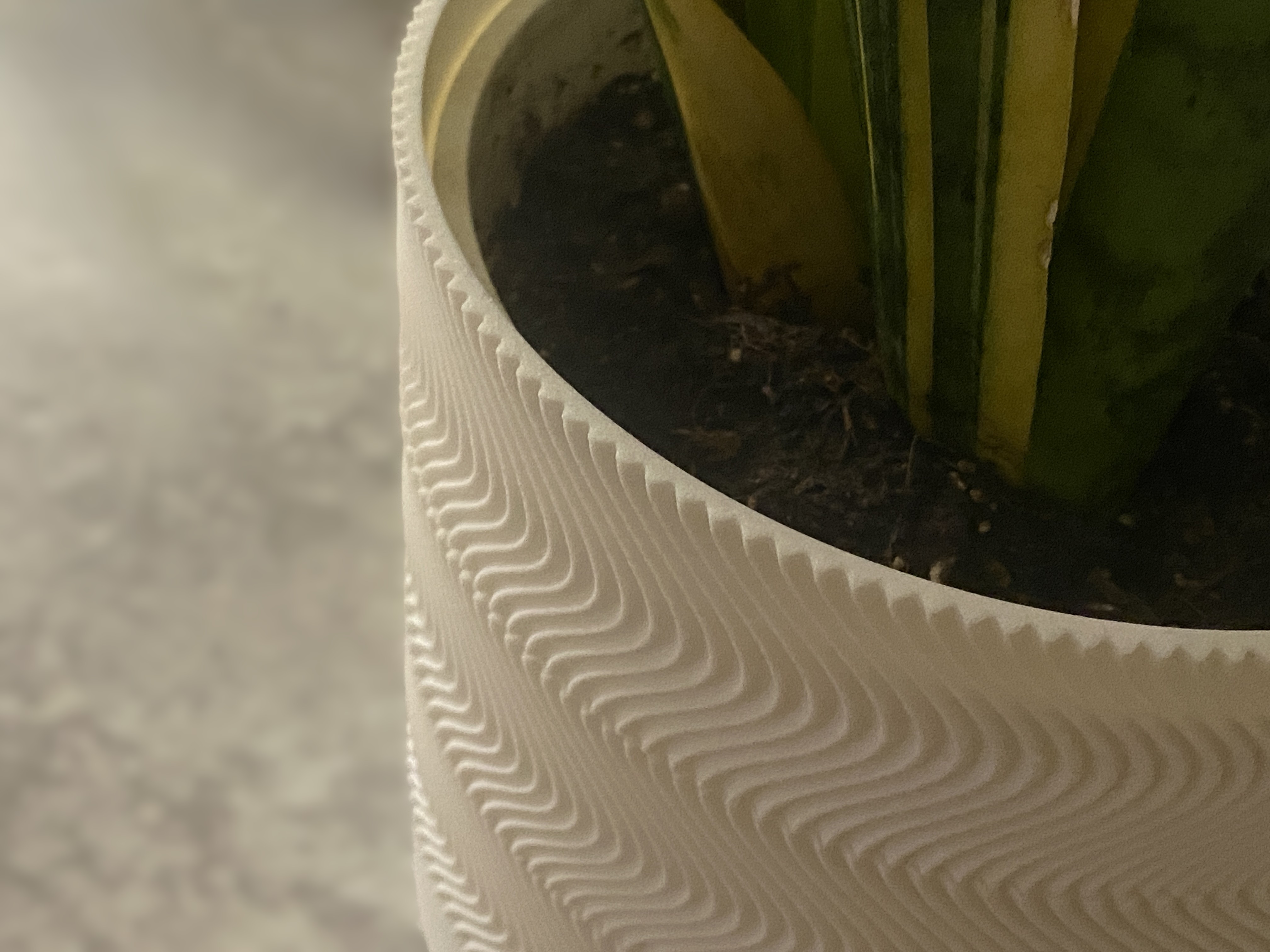 Twisty curve planter
