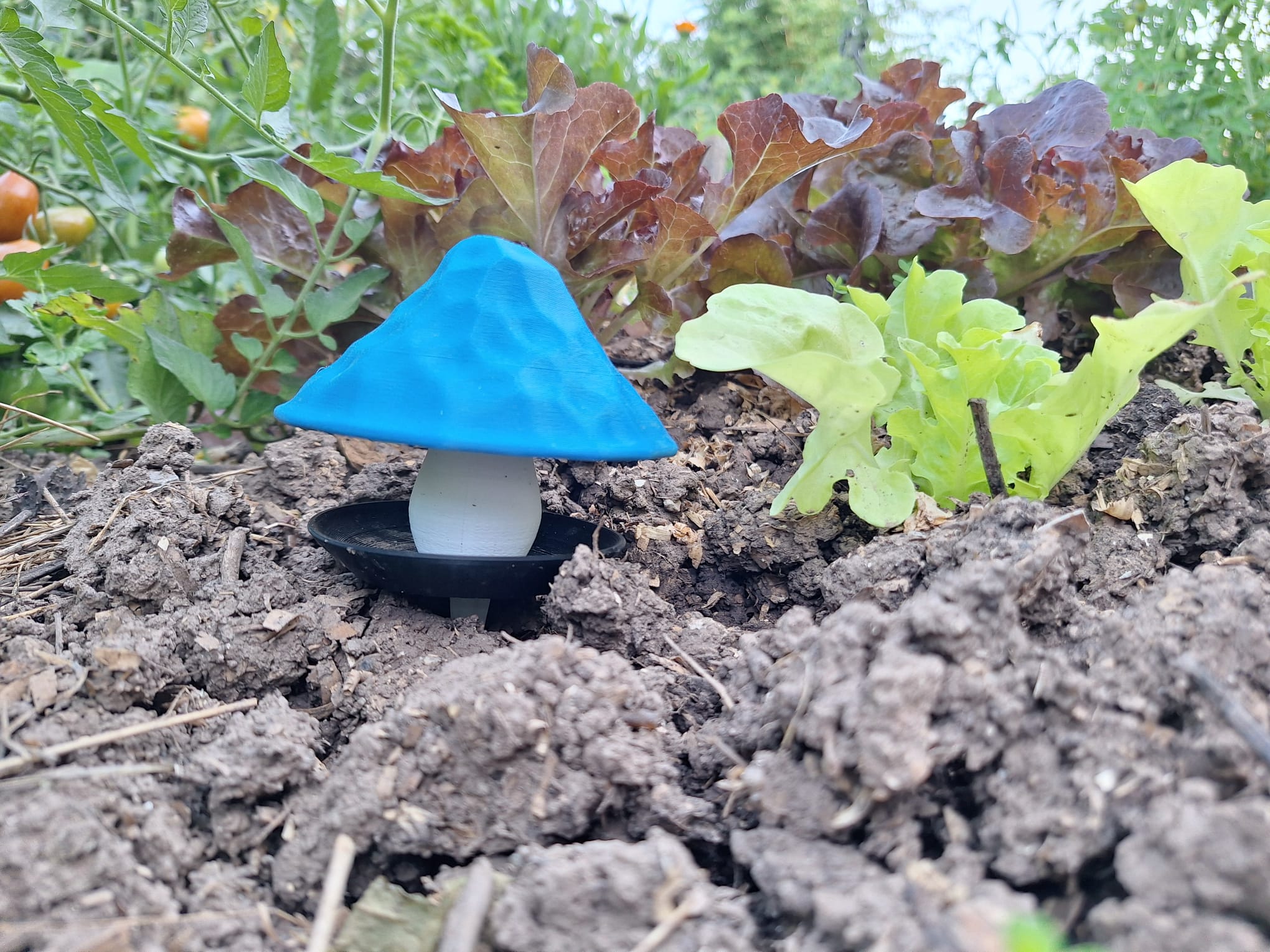 Miniatura 3 do modelo 3D Snail Trap