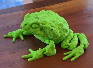 Articulated FLEXI CANE TOAD