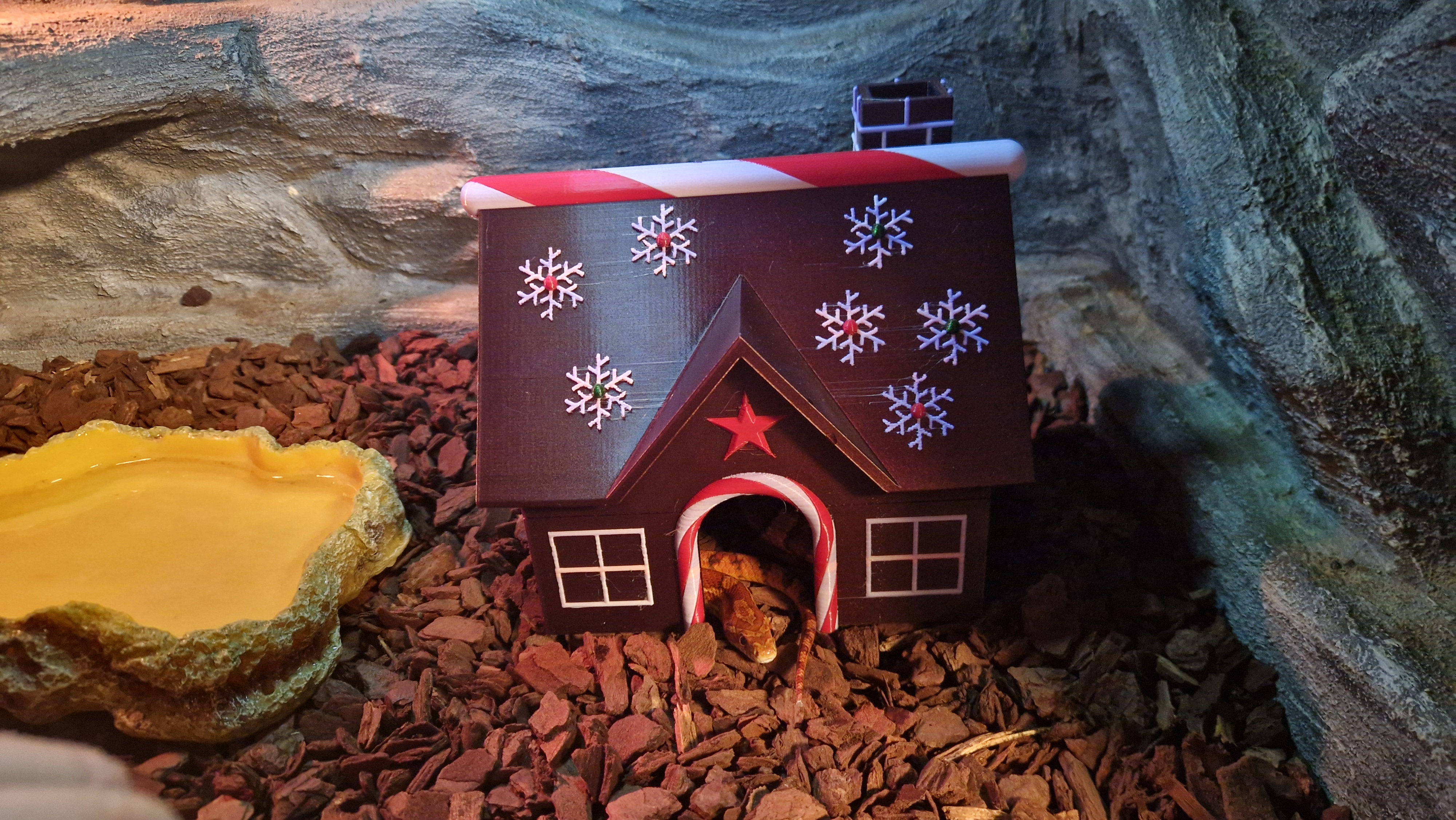 Gingerbreak snake house