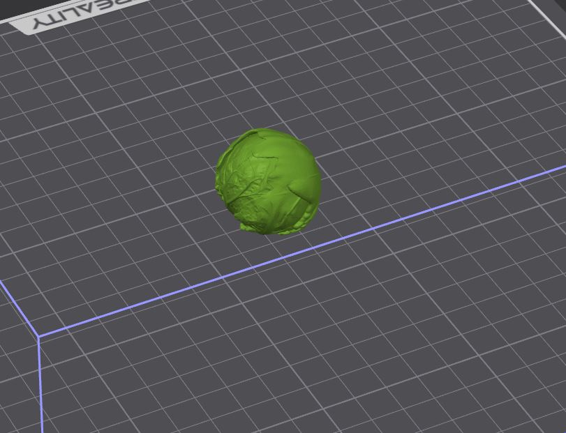 Brussels Sprout – Realistic 3D Model