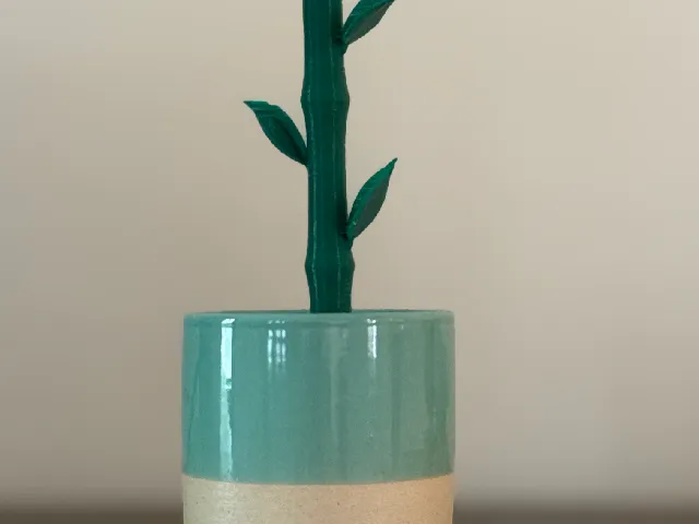 Bamboo