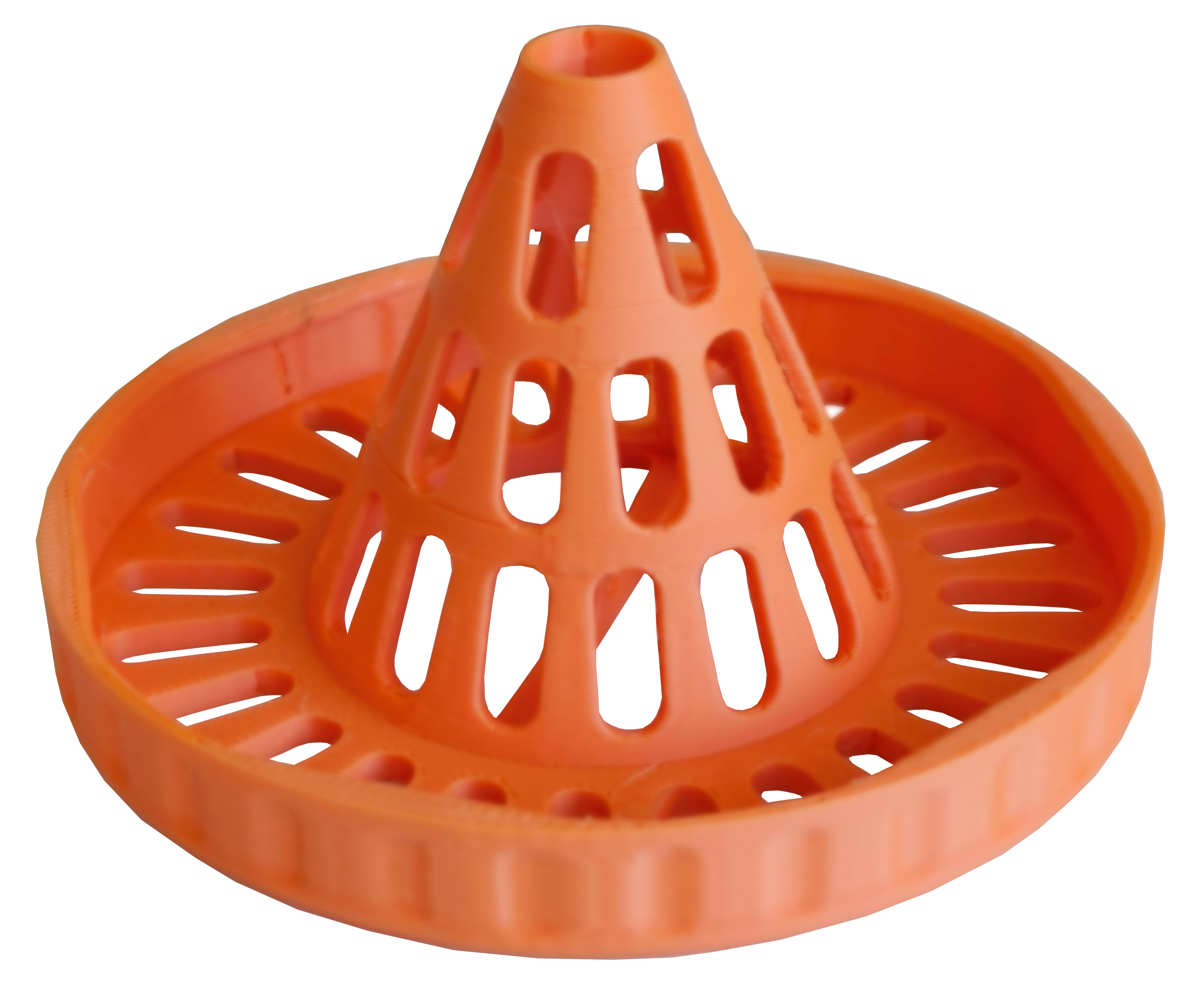 Asian Hornet Trap
