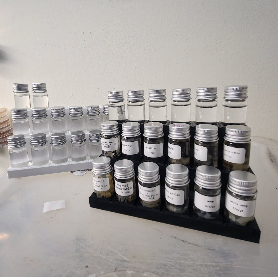 10ml Glass Vial/Bottle Storage Rack for Mycology