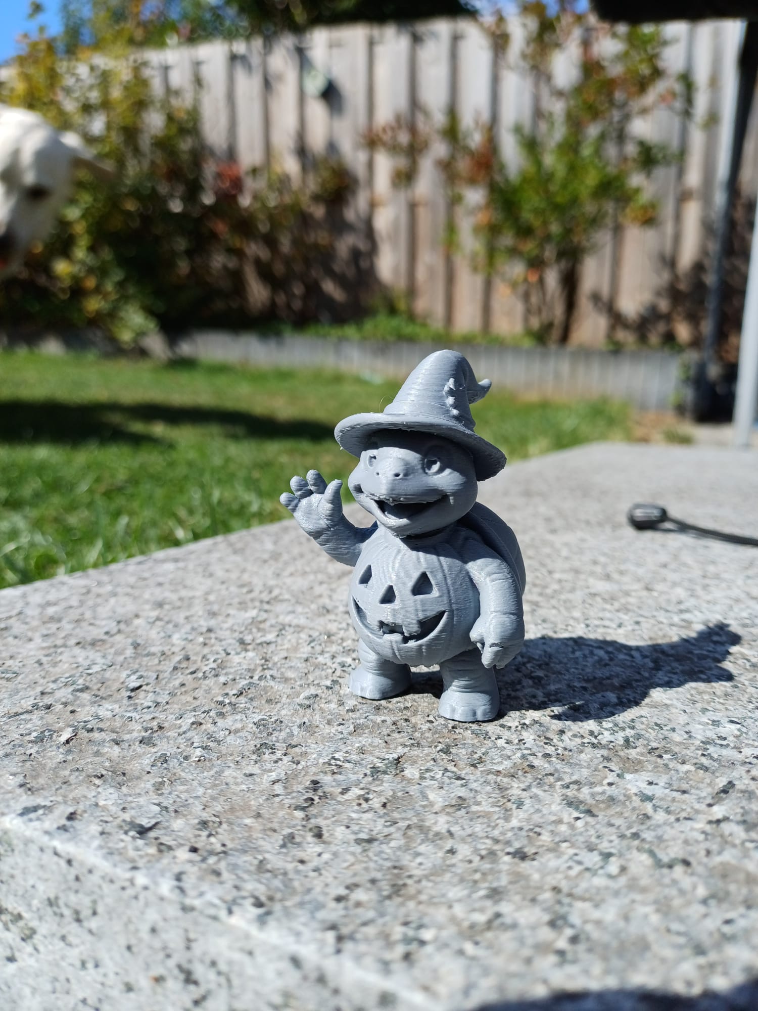 Pumpkin Wizard Turtle