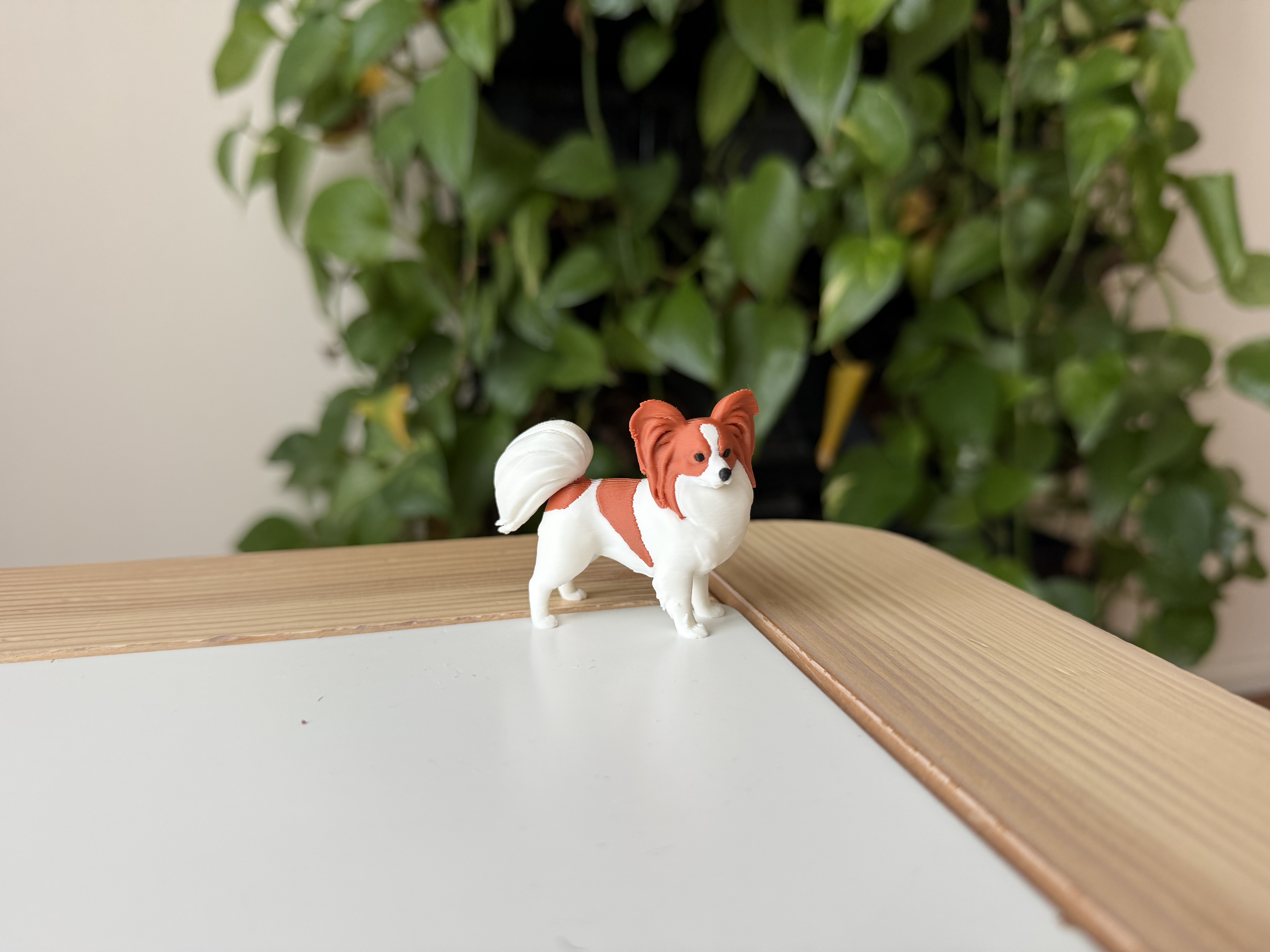 Miniatura 2 do modelo 3D Papillon